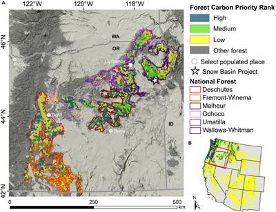 Large Trees Dominate Carbon Storage in Forests East of the Cascade Crest in the United States Pacific Northwest